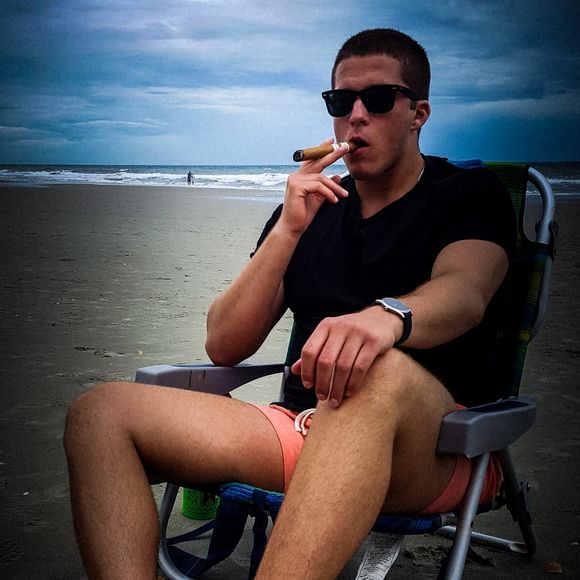 Meet your Posher, Ryder - Picture 1 of 1